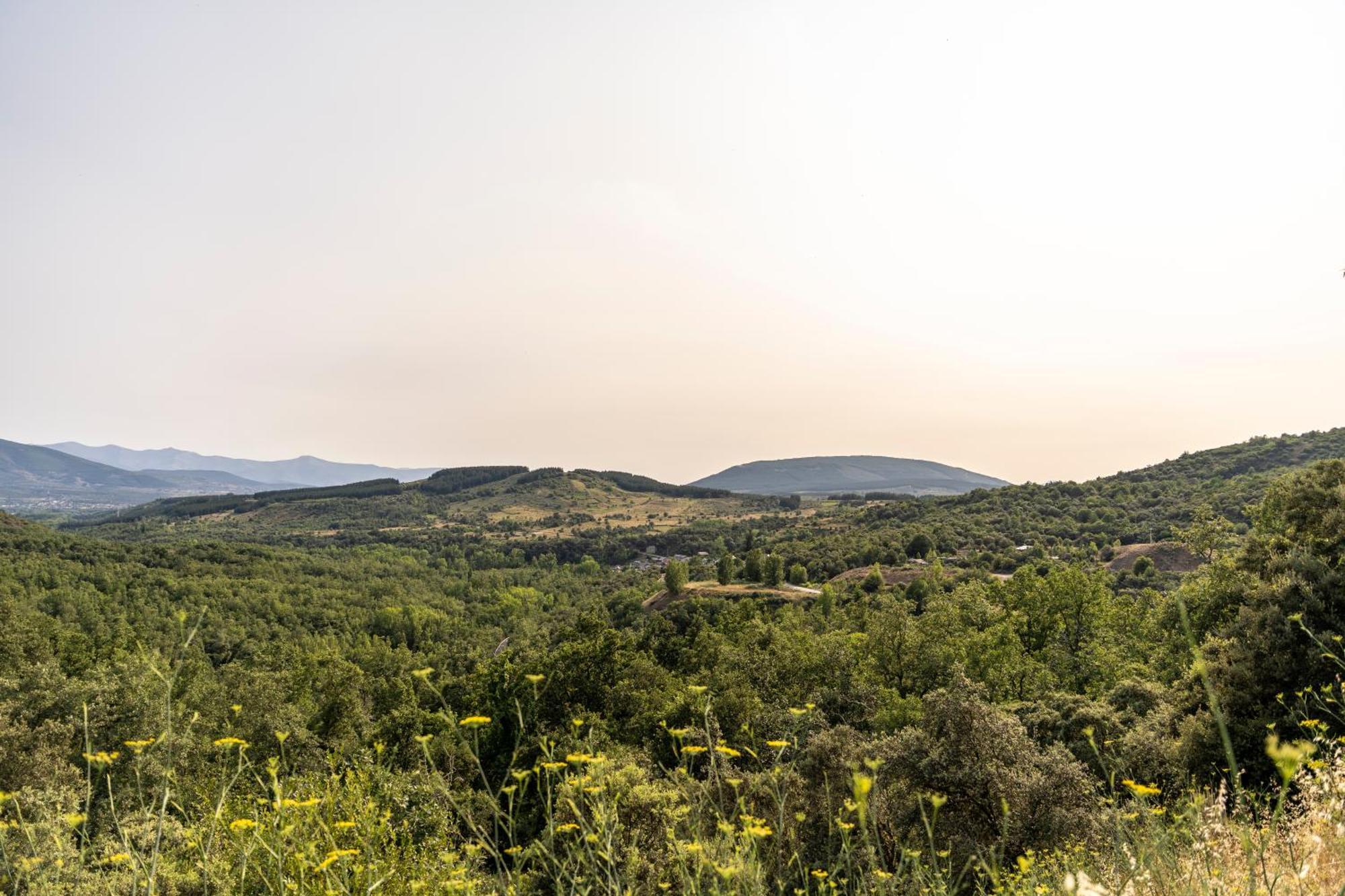 Casa De Turismo Rural Sardom3 Bembibre  Kültér fotó