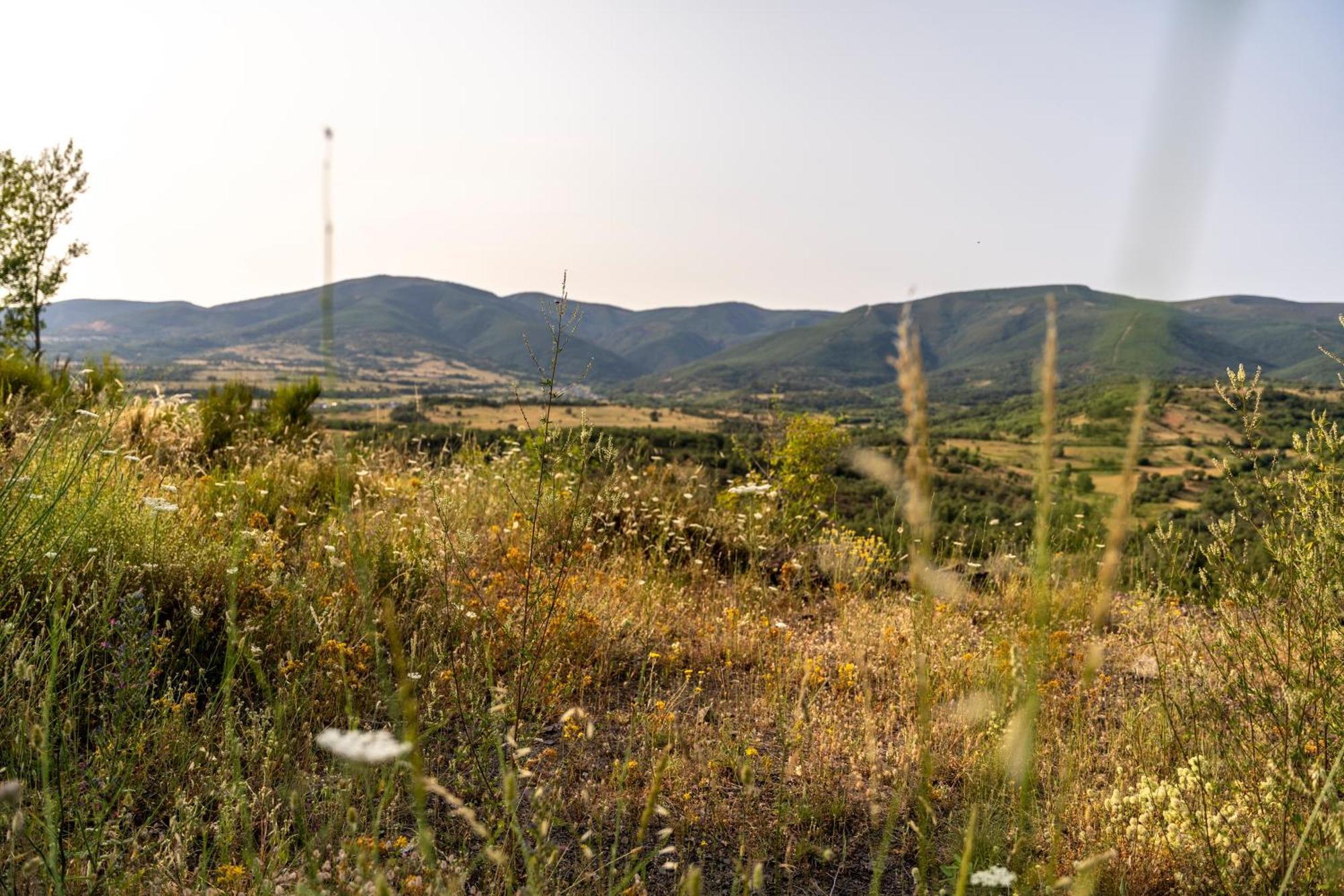 Casa De Turismo Rural Sardom3 Bembibre  Kültér fotó